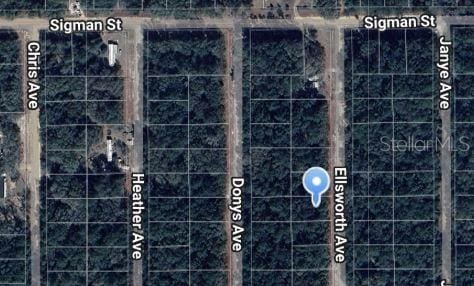 Ellsworth Ave, Interlachen FL, 32148 land for sale