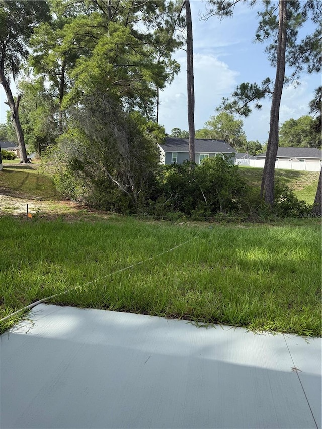 845 NE 130th Ter, Silver Springs, FL 34488 - view of yard