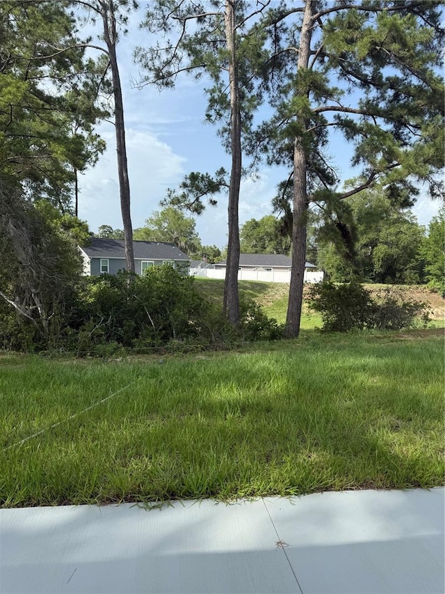 845 NE 130th Ter, Silver Springs, FL 34488 - view of yard