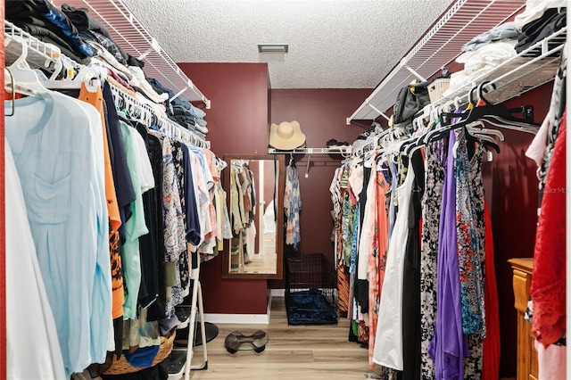 spacious closet with visible vents and wood finished floors