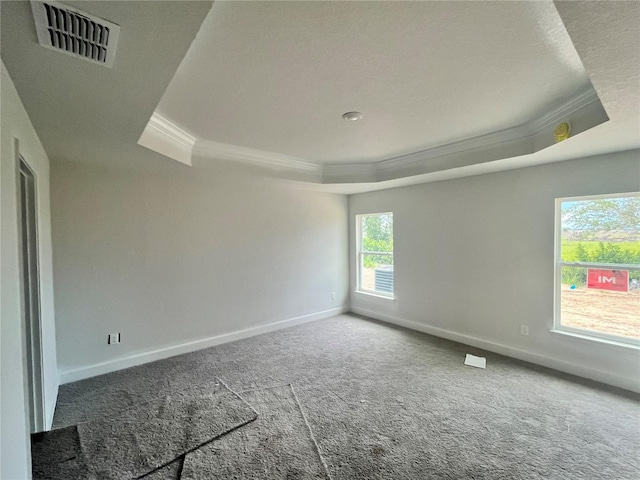 4365 SW 90th Pl, Ocala, FL 34476 - empty room with crown molding, a raised ceiling, and carpet floors
