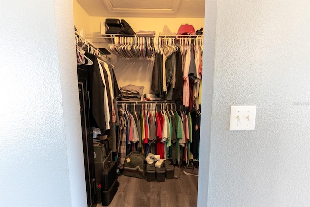 walk in closet featuring wood finished floors