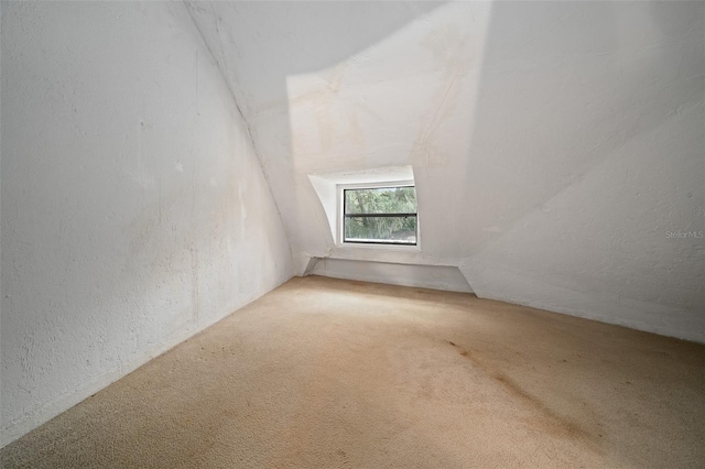 additional living space with a textured wall and carpet floors