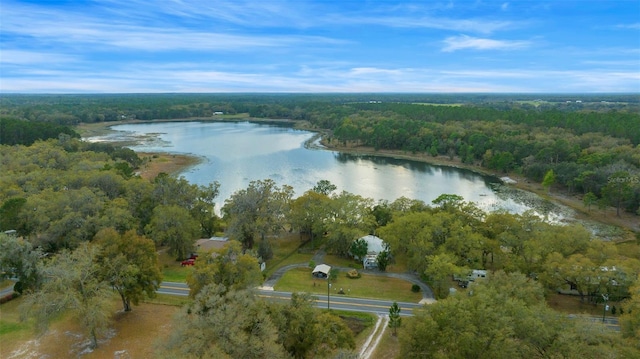 bird's eye view with a wooded view and a water view