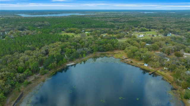 bird's eye view featuring a forest view and a water view