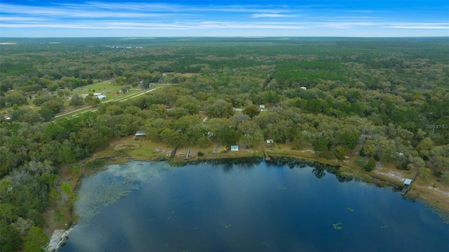 drone / aerial view featuring a view of trees and a water view