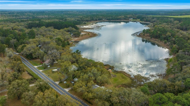 birds eye view of property featuring a view of trees and a water view