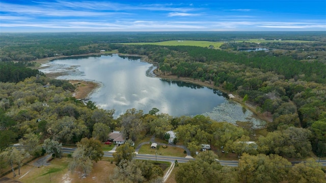 drone / aerial view with a wooded view and a water view