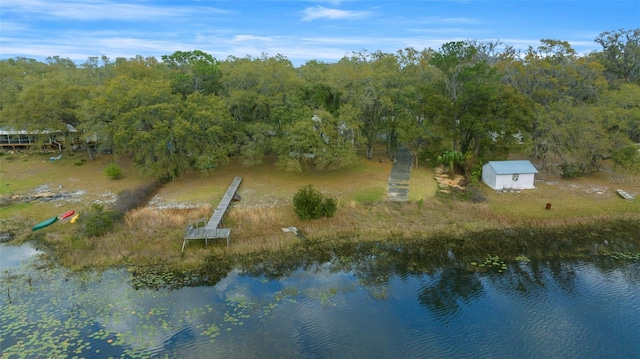 bird's eye view with a wooded view and a water view