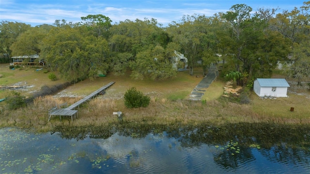 drone / aerial view with a water view and a view of trees