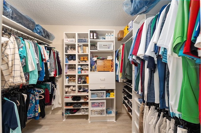 walk in closet featuring wood finished floors