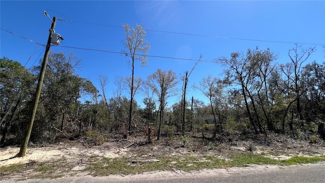 Listing photo 2 for Fisher Lane Crse, Ocklawaha FL 32179