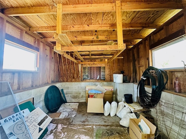 miscellaneous room with a healthy amount of sunlight and concrete block wall