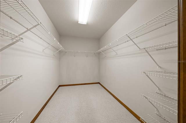 spacious closet with light carpet