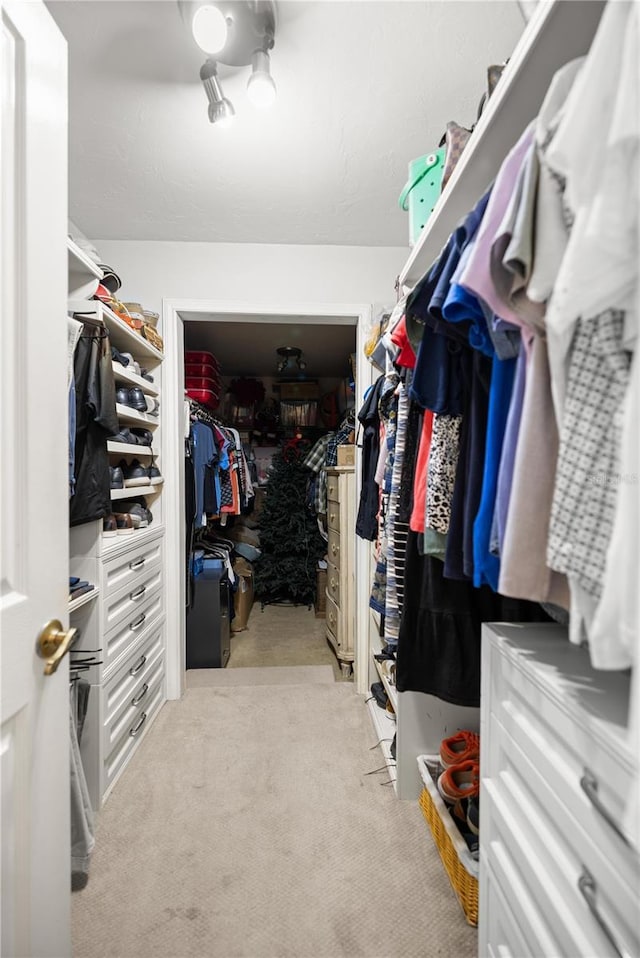 walk in closet with light carpet