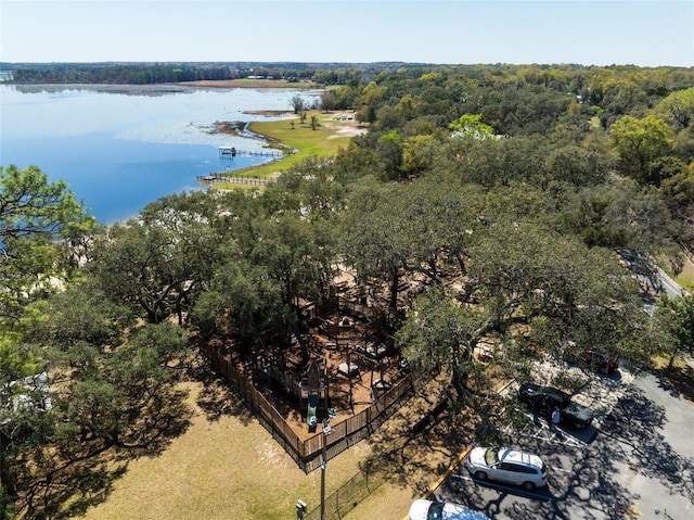 aerial view with a view of trees and a water view