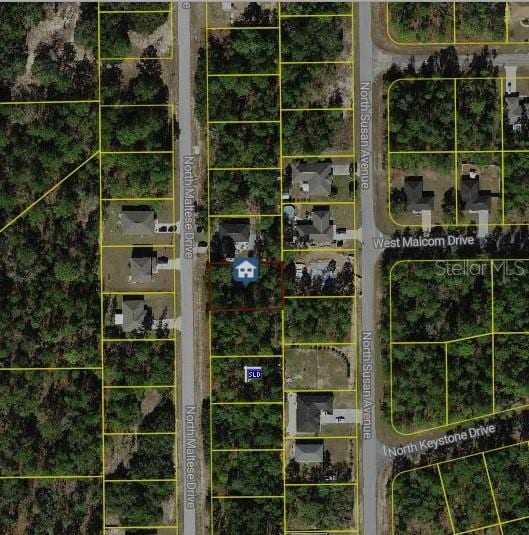 7685 N Maltese Dr, Citrus Springs FL, 34433 land for sale