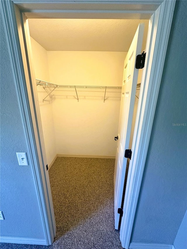 spacious closet featuring carpet floors