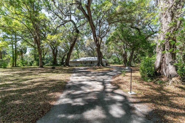 view of street featuring driveway