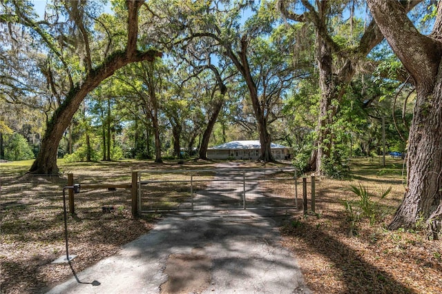 view of street featuring aphalt driveway, a gate, and a gated entry