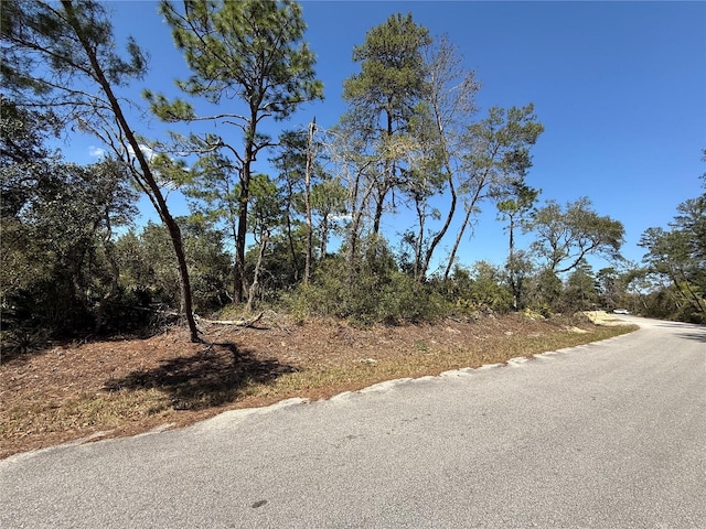 TBD Fisher Run Terrace, Ocklawaha FL, 32179 land for sale