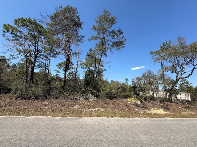 Listing photo 2 for TBD Fisher Run Terrace, Ocklawaha FL 32179