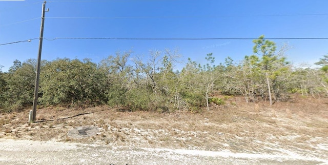 15095 Snowy Owl Ave, Brooksville FL, 34614 land for sale