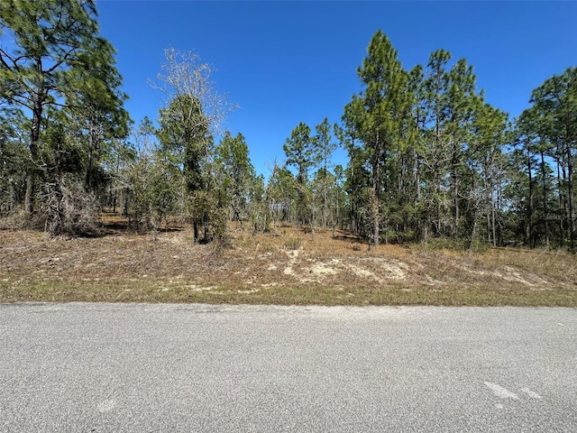 0 NW Shamrock Ave, Dunnellon FL, 34431 land for sale