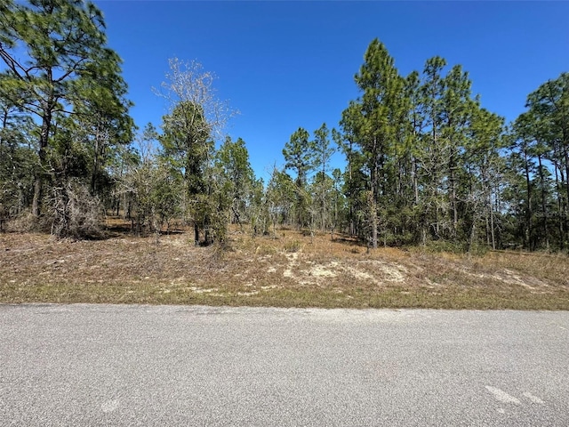 Listing photo 2 for 0 NW Shamrock Ave, Dunnellon FL 34431