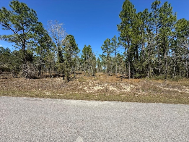 Listing photo 3 for 0 NW Shamrock Ave, Dunnellon FL 34431