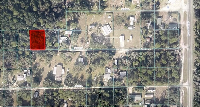 TBD NE 206th St, Fort Mc Coy FL, 32134 land for sale