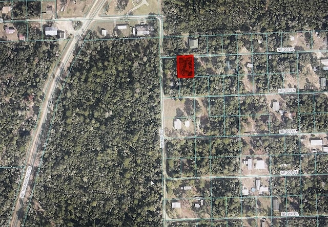 TBD NE 202nd Pl, Fort Mc Coy FL, 32134 land for sale