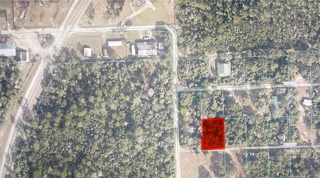 TBD NE 201st Ln, Fort Mc Coy FL, 32134 land for sale