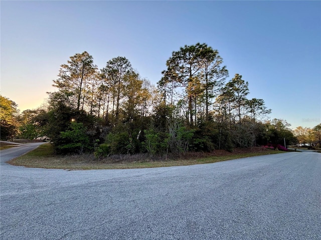 LOT33 SW 97th Pl, Dunnellon FL, 34431 land for sale