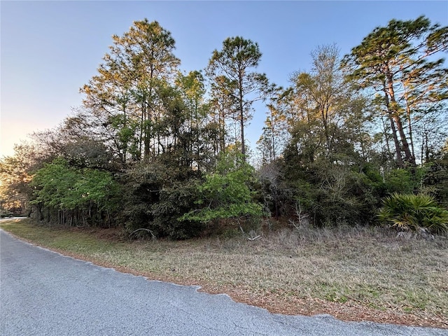 Listing photo 2 for LOT33 SW 97th Pl, Dunnellon FL 34431