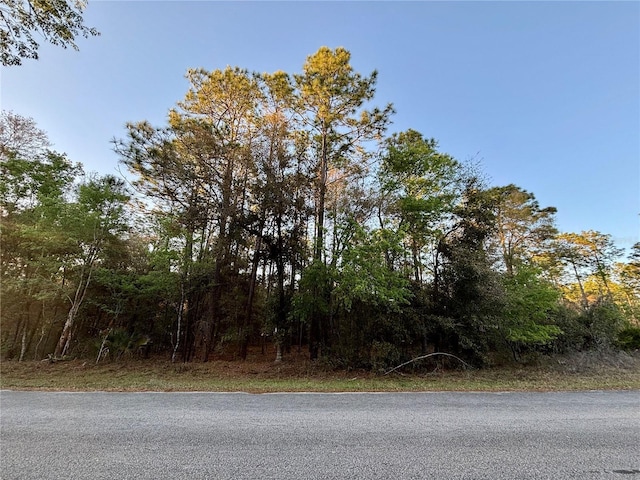 Listing photo 3 for LOT33 SW 97th Pl, Dunnellon FL 34431