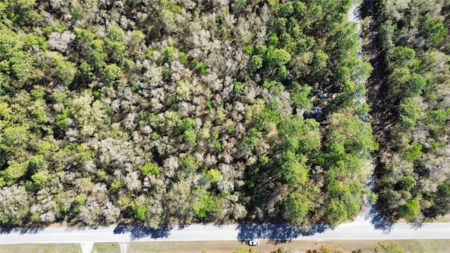 Listing photo 2 for TBD SW 54th St, Dunnellon FL 34431