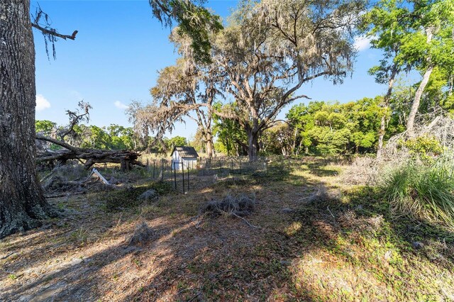9951 NE 30th Ct, Anthony, FL 32617 - view of yard