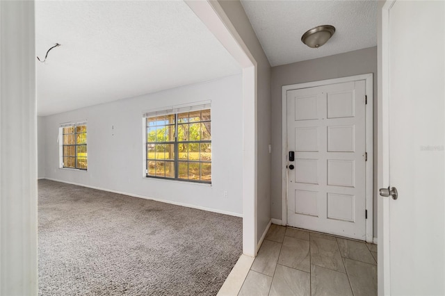 9951 NE 30th Ct, Anthony, FL 32617 - entryway with baseboards, light colored carpet, and a textured ceiling