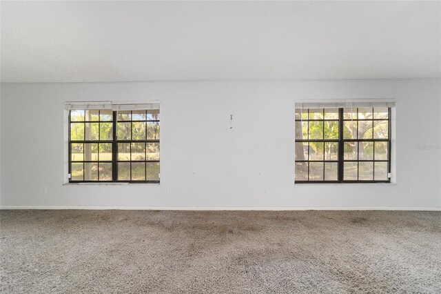 9951 NE 30th Ct, Anthony, FL 32617 - carpeted spare room with baseboards