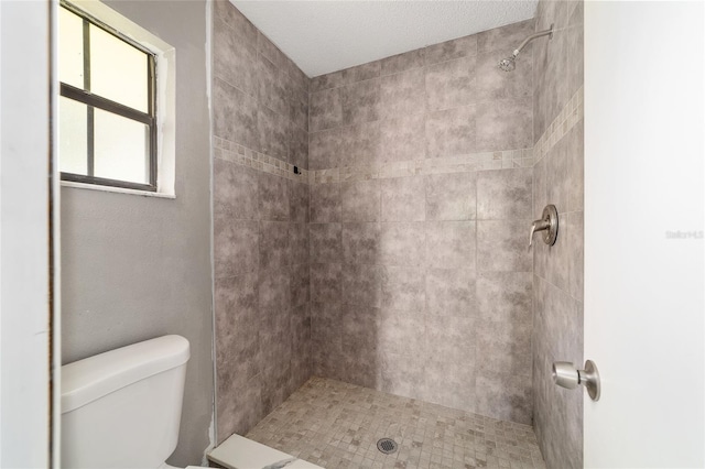 9951 NE 30th Ct, Anthony, FL 32617 - bathroom featuring toilet and tiled shower