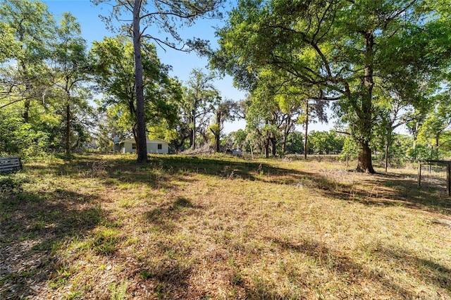 9951 NE 30th Ct, Anthony, FL 32617 - view of yard