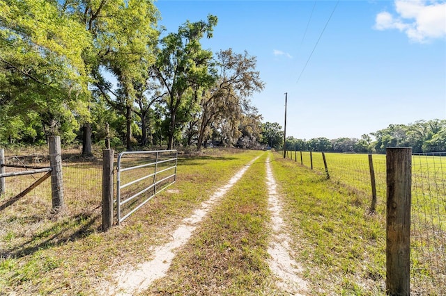 9951 NE 30th Ct, Anthony, FL 32617 - view of road featuring a gate and a rural view