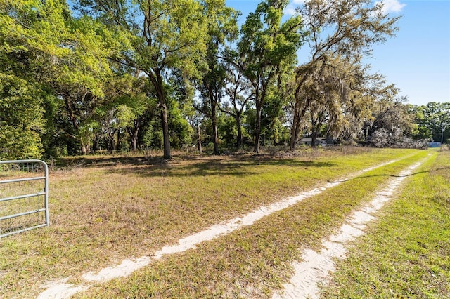 9951 NE 30th Ct, Anthony, FL 32617 - view of yard