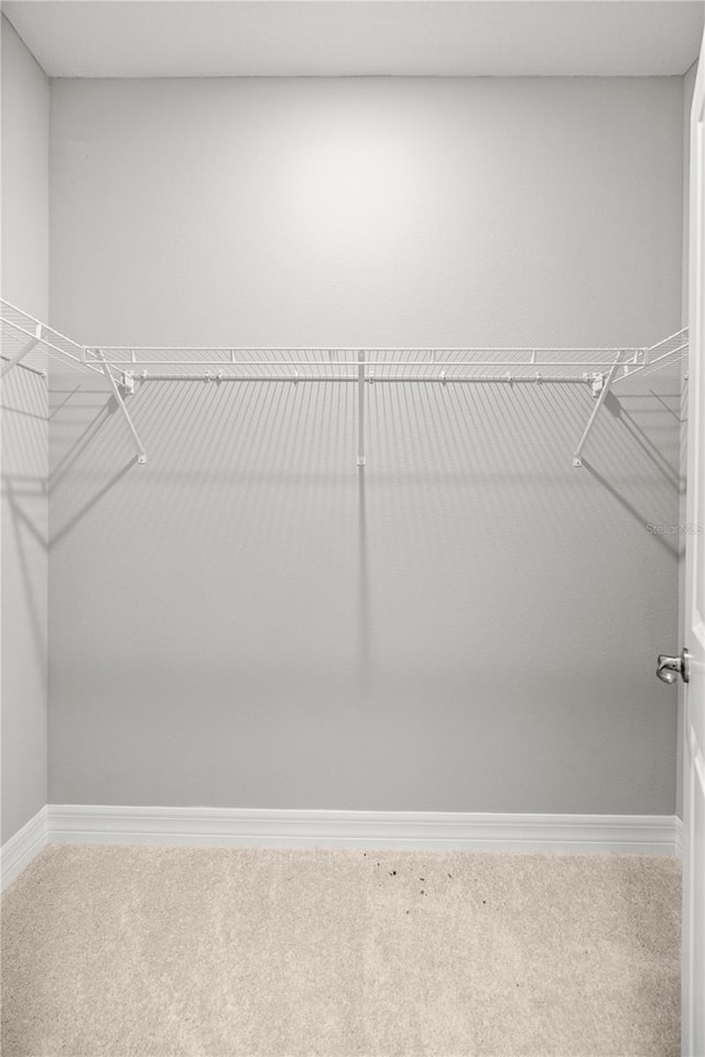 spacious closet with carpet