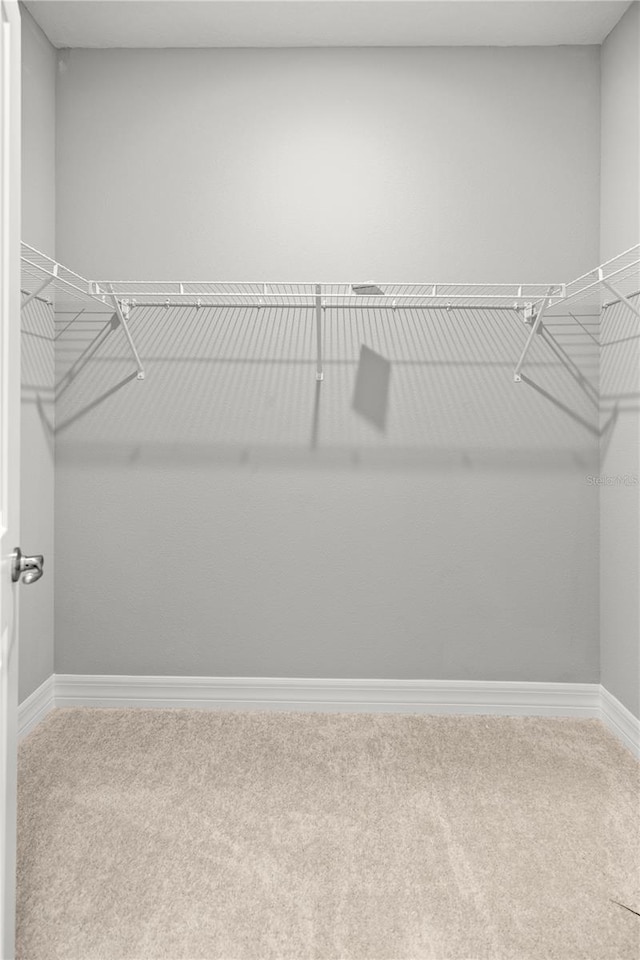 spacious closet with carpet
