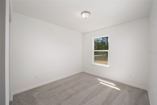 24146 NW Foxglove Ln, Dunnellon, FL 34431 - photo 15