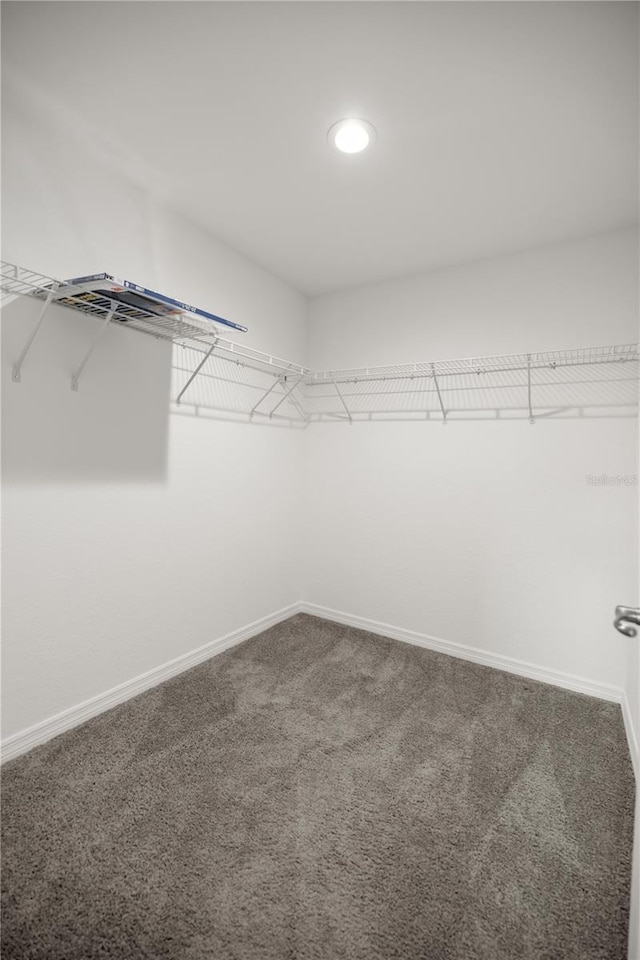 spacious closet with carpet