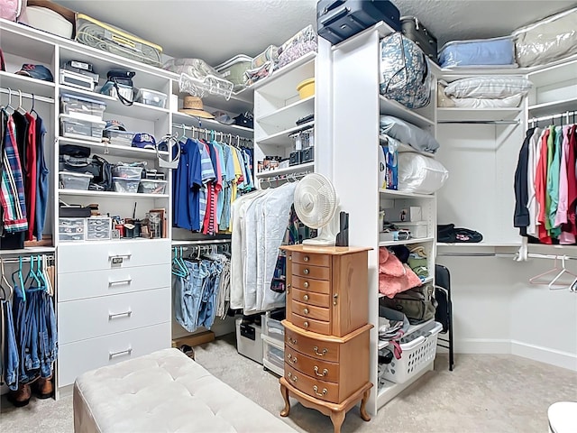 view of spacious closet