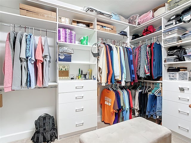 walk in closet with carpet floors